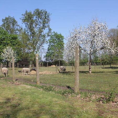 Bed and Breakfast Beej Potters Weert Esterno foto