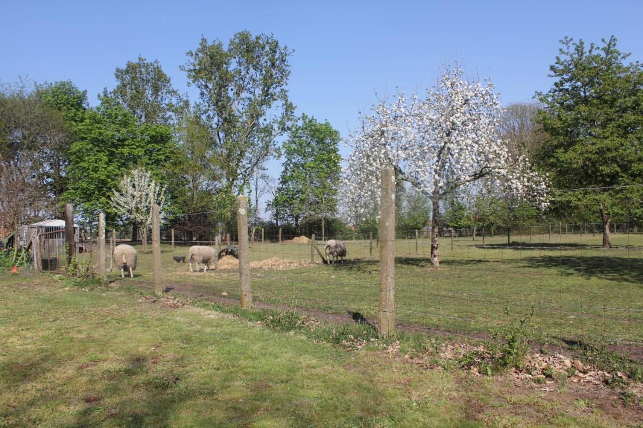 Bed and Breakfast Beej Potters Weert Esterno foto