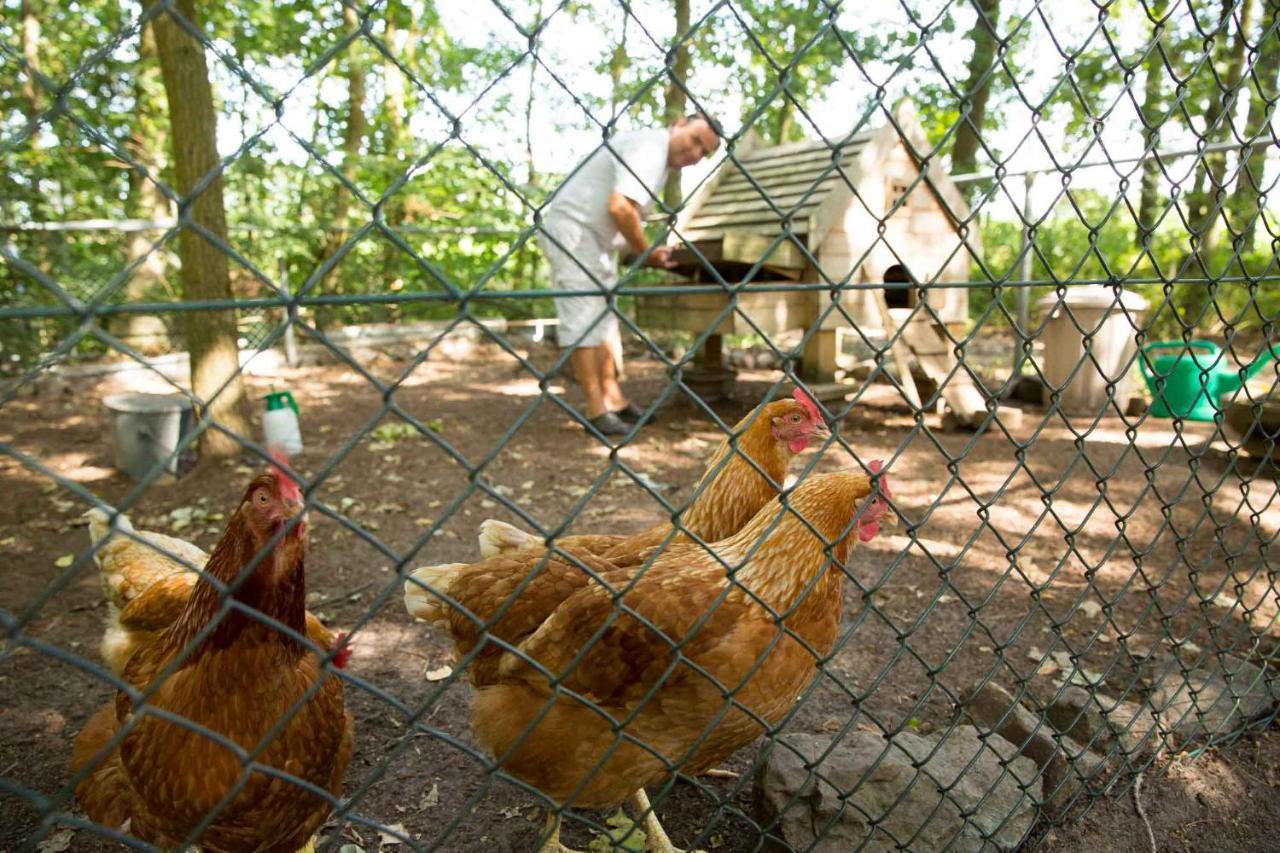 Bed and Breakfast Beej Potters Weert Esterno foto